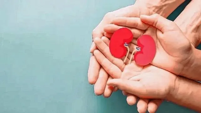 rinon-mundial-prevencionjpg