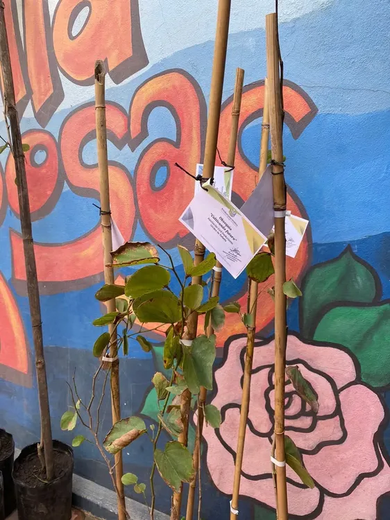 a5fcf4ee-d6c5-4eb9-9cf8-e19f5aef8ea5