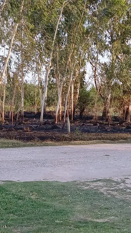 WhatsApp Image 2025-02-26 at 16.03.21