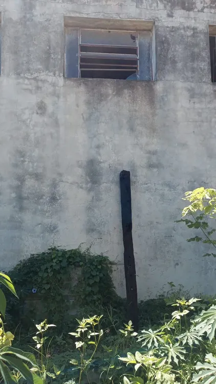 WhatsApp Image 2024-01-15 at 11.56.03