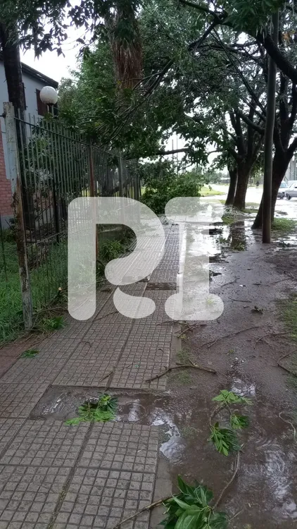 multimedia.grande.ac058375135e7546.YjM2ZmY1MDctZjdjMy00NTQ4LTk4MjItYWU0ZThlNzVfZ3JhbmRlLndlYnA=