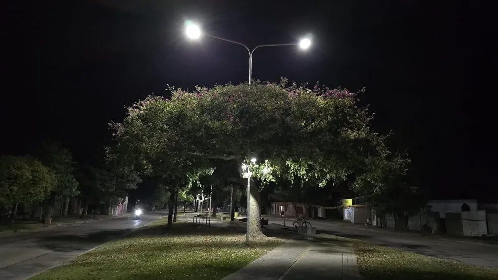 WhatsApp Image 2025-02-21 at 15.21.12