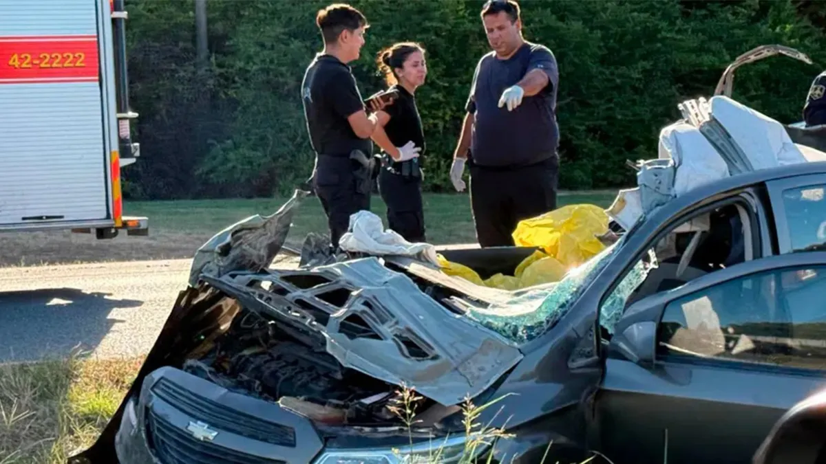 WhatsApp Image 2026-01-08 at 8.53.56 AM