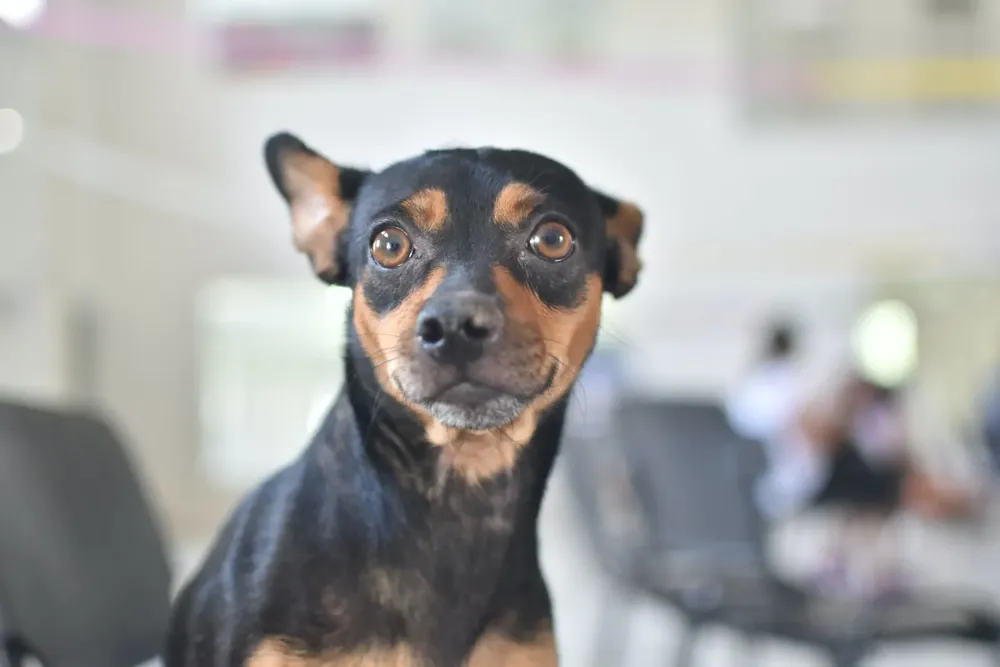 WhatsApp Image 2025-04-12 at 13.49.13