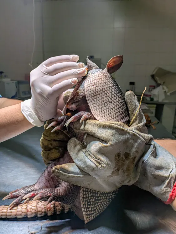 WhatsApp Image 2025-01-25 at 10.01.23 AM