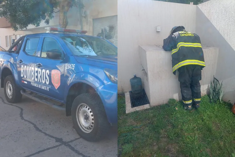 WhatsApp Image 2026-01-30 at 5.51.28 PM (1)