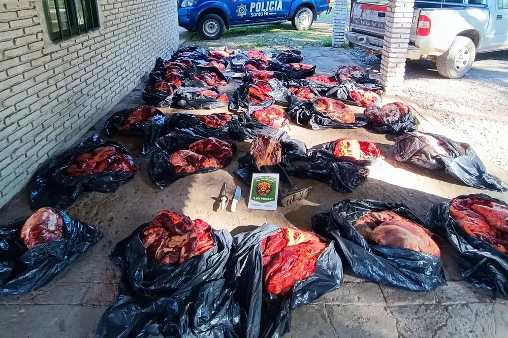 WhatsApp Image 2025-04-29 at 16.00.10