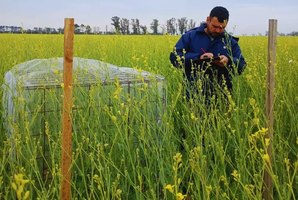 WhatsApp Image 2026-02-24 at 5.15.10 PM