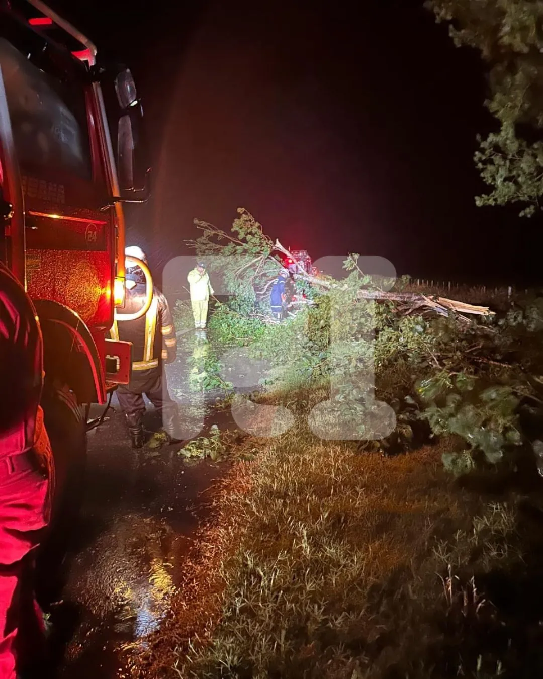 Declaraciones RI (1)