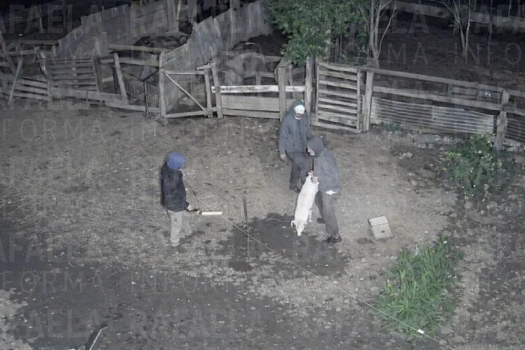 foto para portal (1)