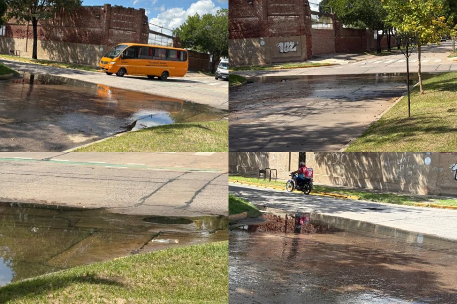 WhatsApp Image 2026-03-28 at 6.19.08 PM