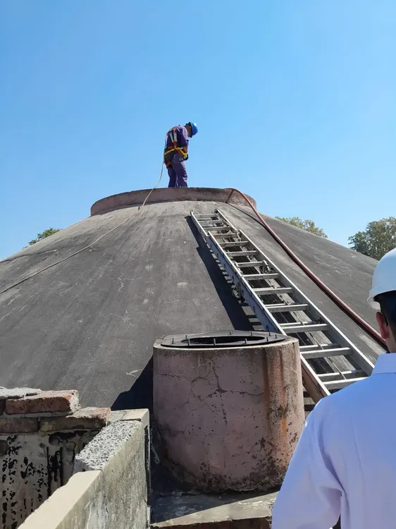 WhatsApp Image 2025-01-20 at 16.25.31