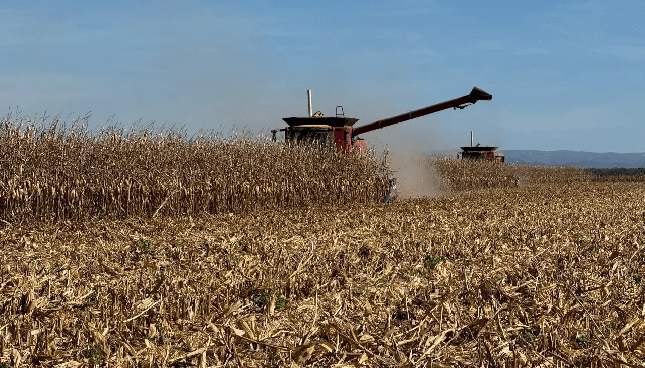 cosecha-maiz-totoral