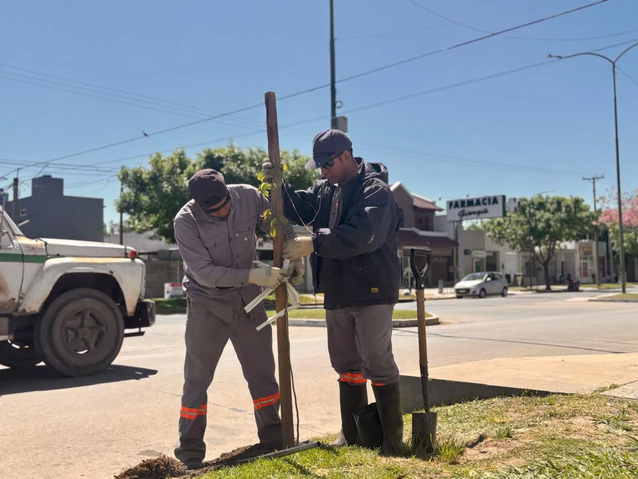 Imagen de WhatsApp 2025-10-08 a las 15.22.39_5fc02131