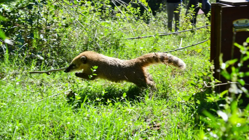 WhatsApp Image 2025-06-15 at 10.07.35