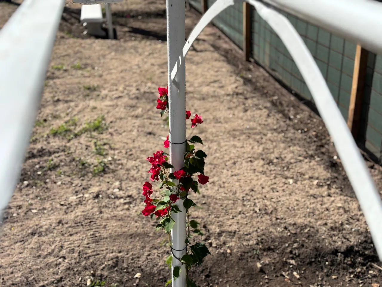 Imagen de WhatsApp 2025-10-02 a las 13.47.36_2df258dc