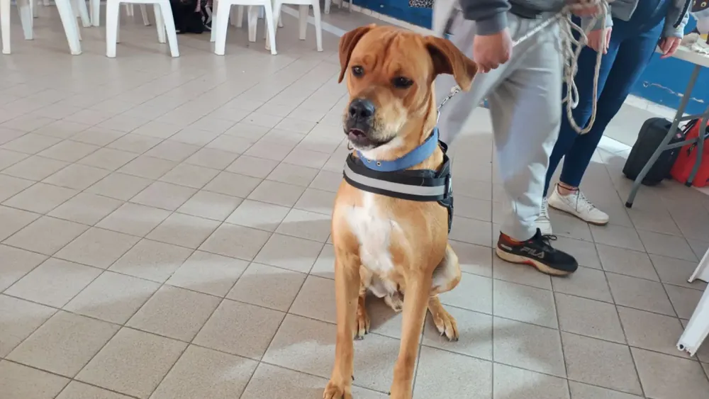 WhatsApp Image 2025-12-20 at 11.17.15 AM