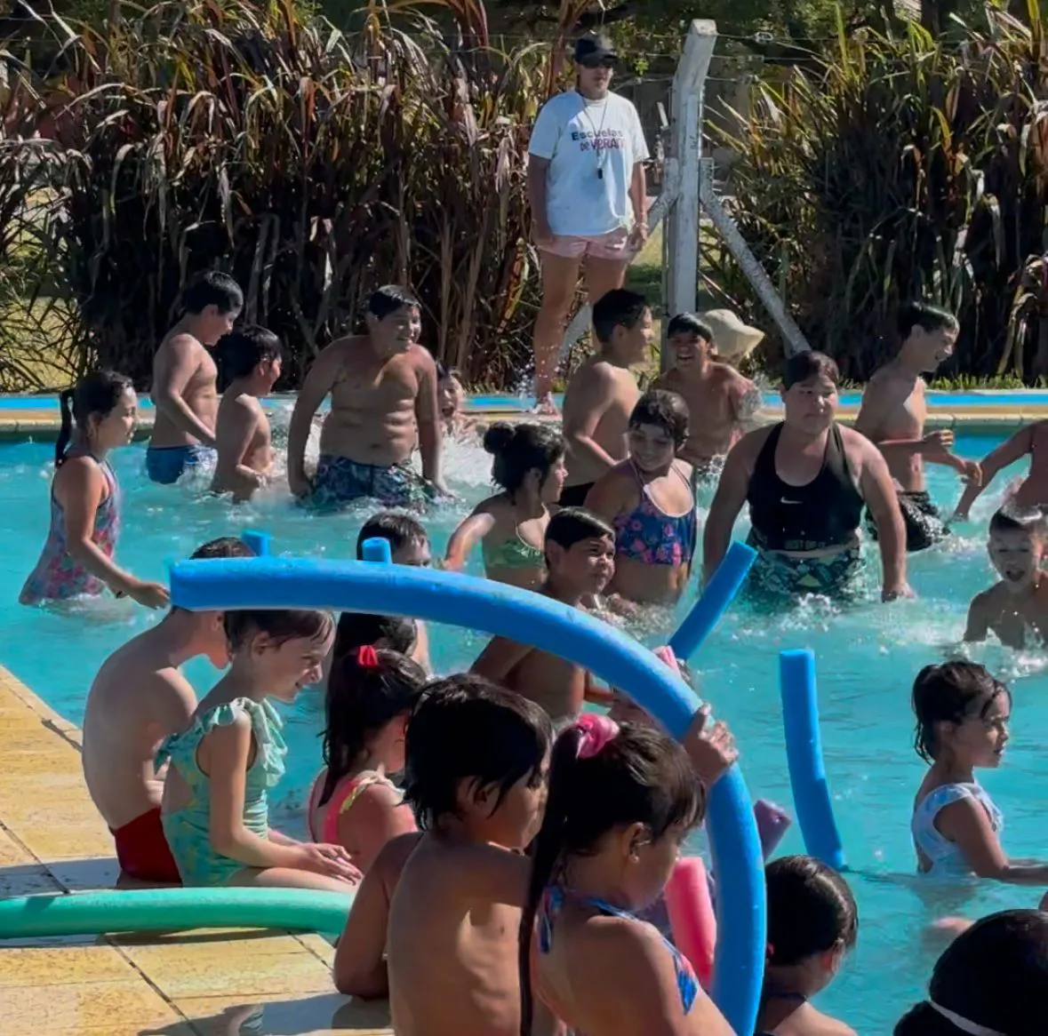 WhatsApp Image 2025-01-16 at 9.10.06 AM