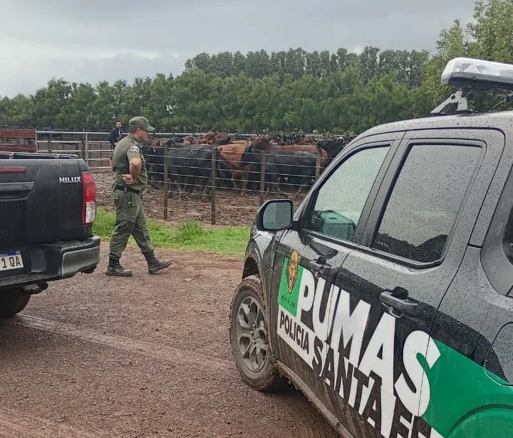 WhatsApp Image 2026-03-20 at 6.22.37 PM