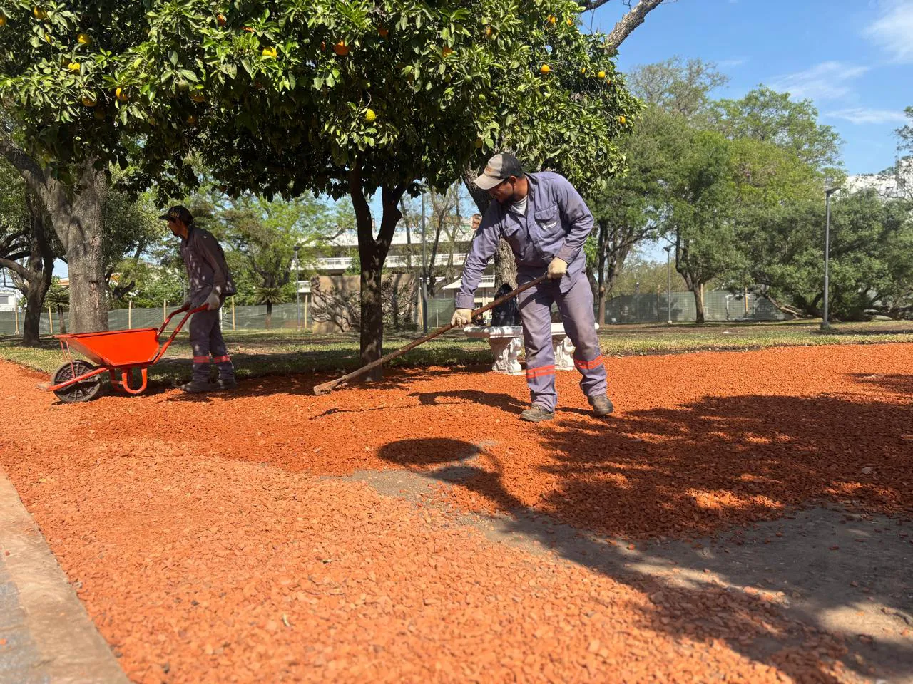 Imagen de WhatsApp 2025-10-17 a las 16.32.18_98e9271e