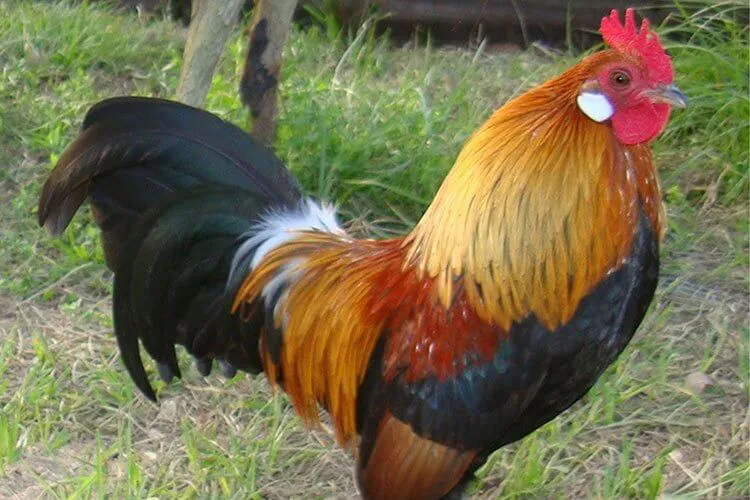 Imagen de WhatsApp 2025-09-02 a las 15.11.17_2cd74695