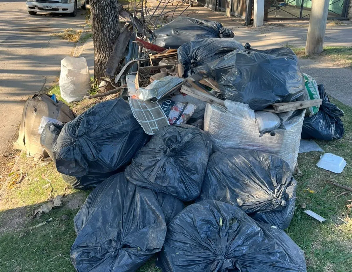 WhatsApp Image 2025-02-19 at 10.51.48 AM