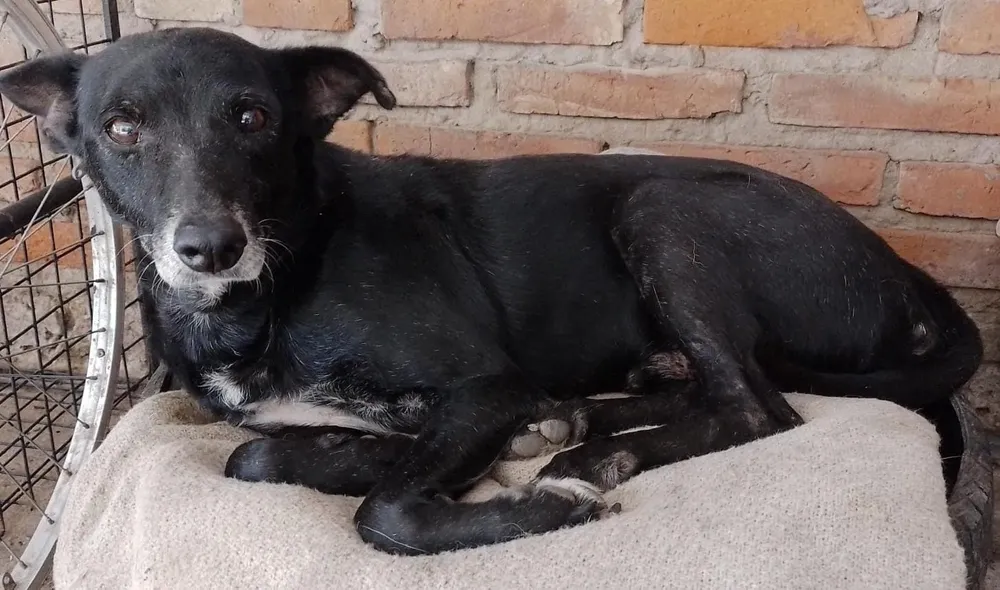 Imagen de WhatsApp 2025-06-07 a las 17.33.49_e4d32301