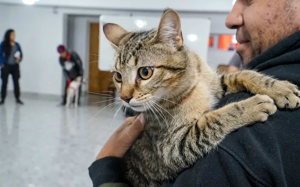 CASTRACIONES-SUM-BARRIO-25-DE-MAYO-1