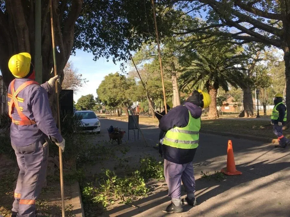 WhatsApp Image 2025-04-23 at 11.33.05 AM