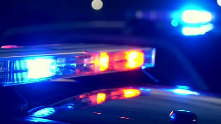 multimedia.normal.bdb6aec9b727bba4.bm9ybWFsLndlYnA=