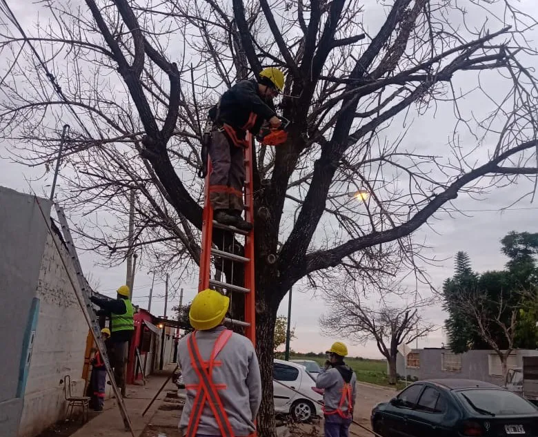 WhatsApp Image 2025-05-21 at 2.55.38 PM