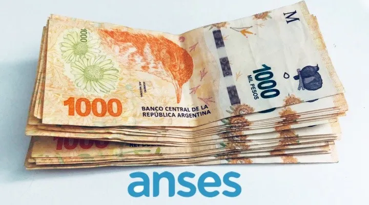 jubilados_anses_x2x.jpg_59435882