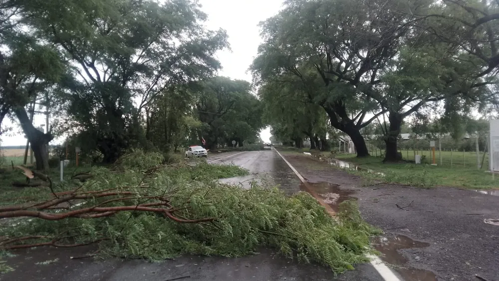 WhatsApp Image 2025-01-26 at 6.58.55 PM