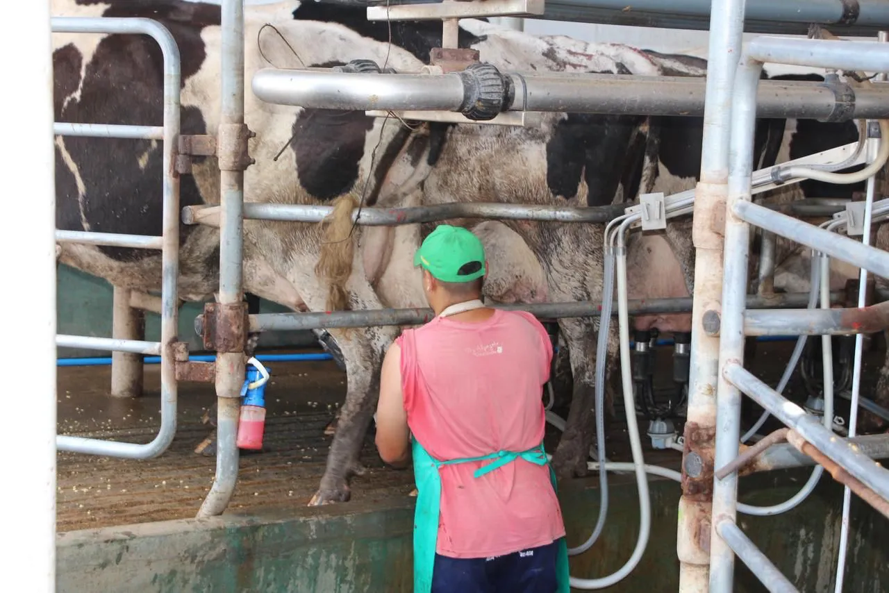 WhatsApp Image 2026-01-04 at 10.41.34 AM