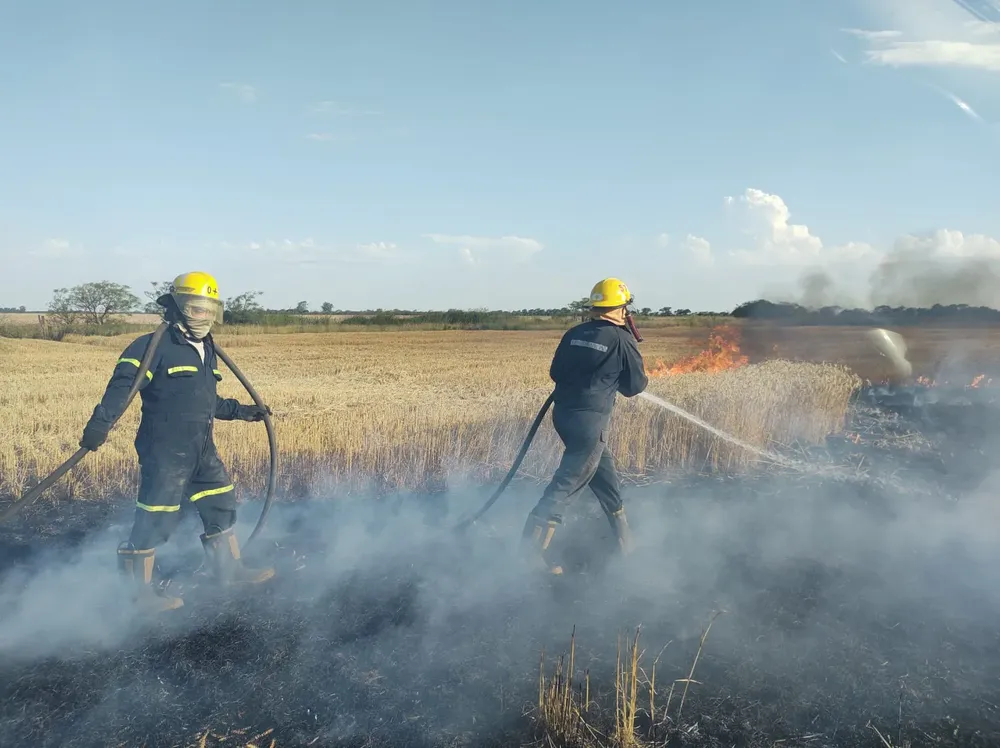 Imagen de WhatsApp 2025-11-28 a las 08.37.21_5450a943