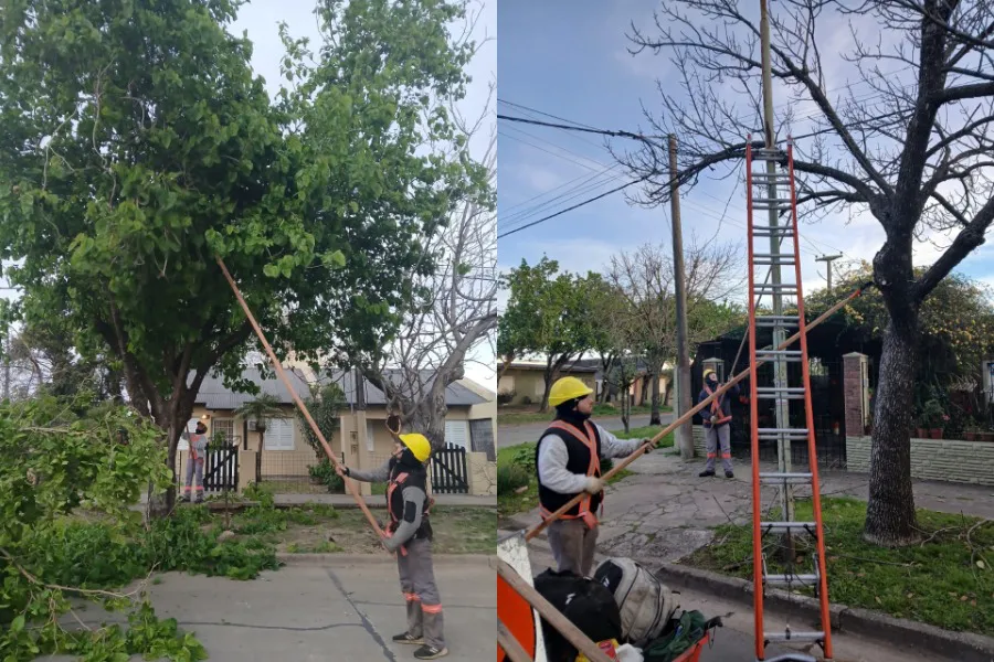 Imagen de WhatsApp 2025-09-10 a las 16.25.35_03e345e7