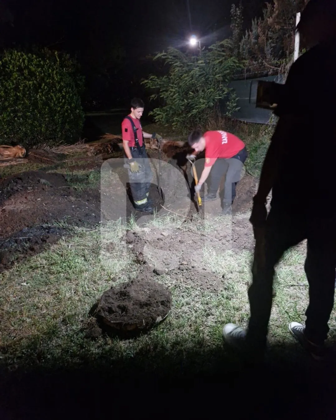 Declaraciones RI (1)