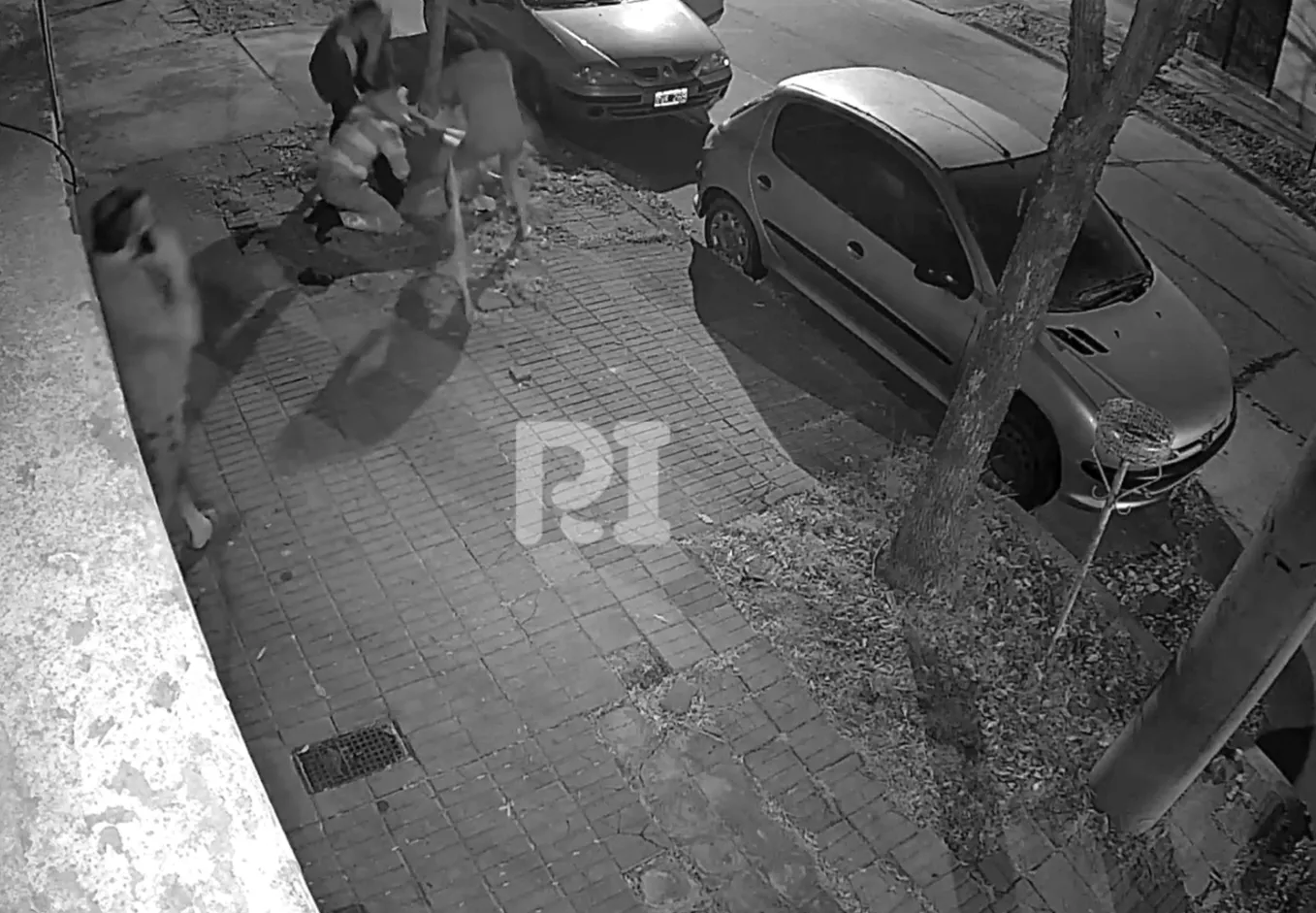 Captura de pantalla 2025-07-08 092429