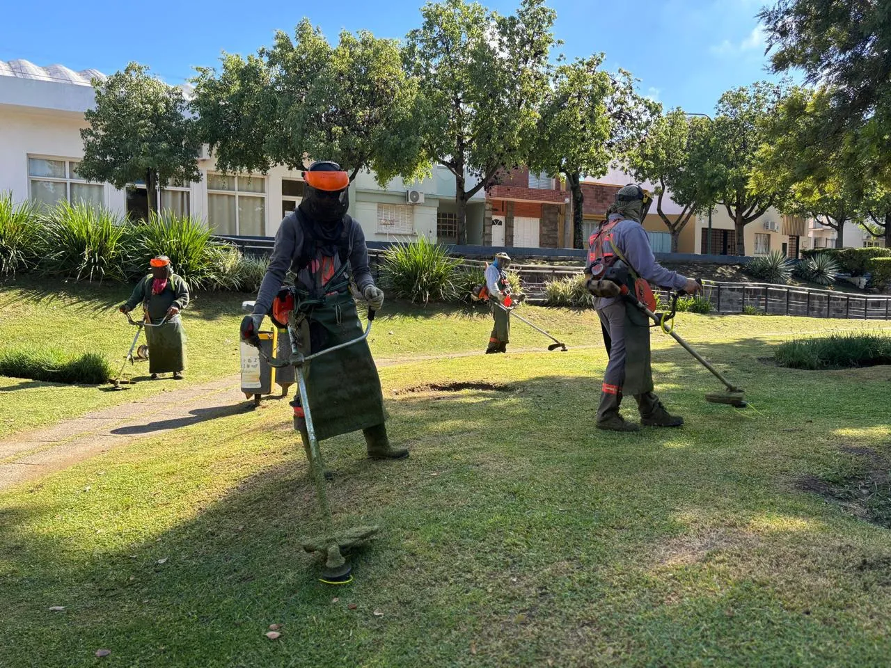 WhatsApp Image 2026-02-10 at 4.55.41 PM