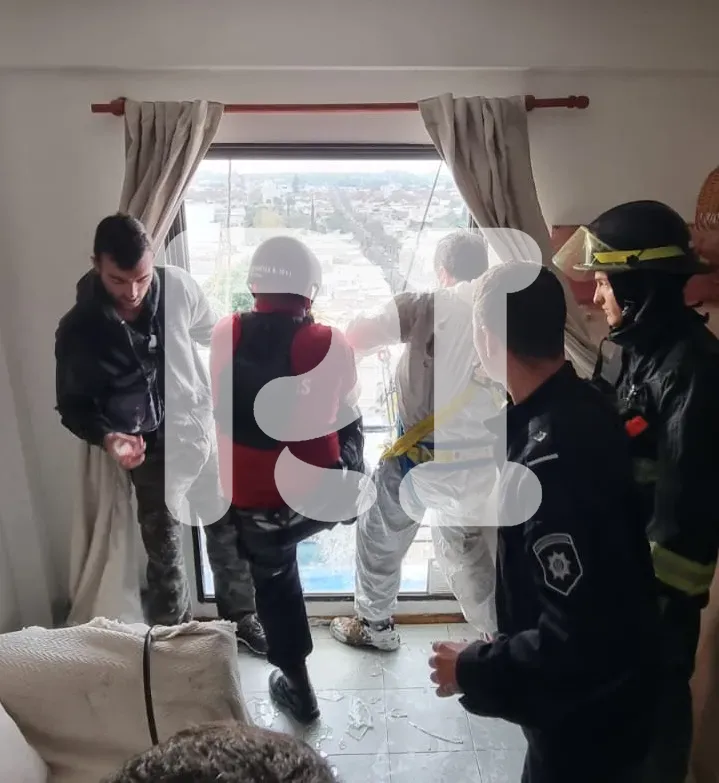 WhatsApp Image 2024-06-07 at 11.42.10