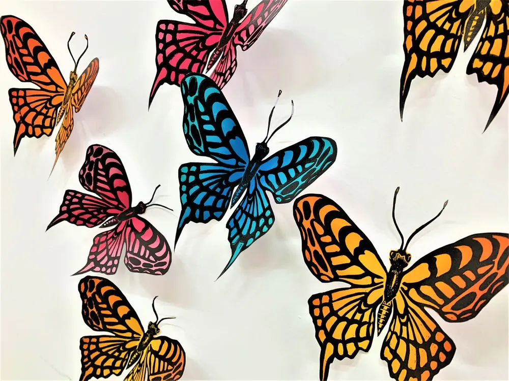 WhatsApp Image 2024-12-03 at 10.50.58 AM