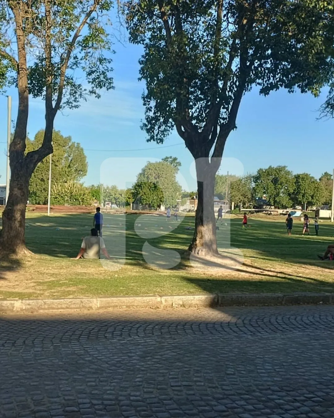 Declaraciones RI (1)