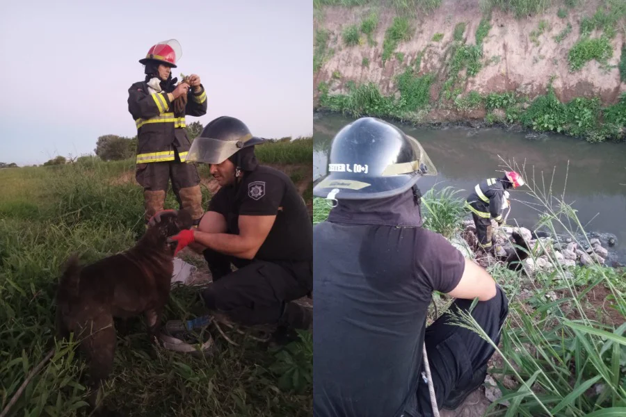 WhatsApp Image 2026-03-20 at 8.28.08 AM