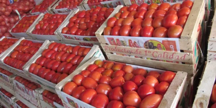 tomates-750x375