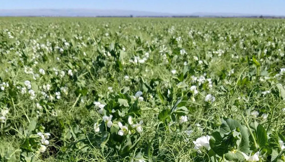 WhatsApp Image 2024-06-03 at 10.09.59