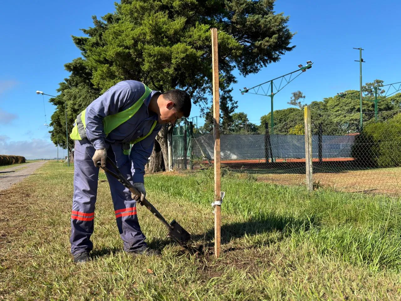 WhatsApp Image 2026-02-11 at 12.04.56 PM