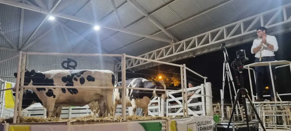 Imagen-de-WhatsApp-2024-12-06-a-las-11.37.15_7b85a4b8