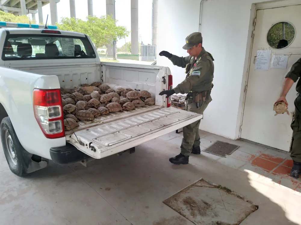 WhatsApp Image 2026-03-29 at 8.26.30 PM (1)