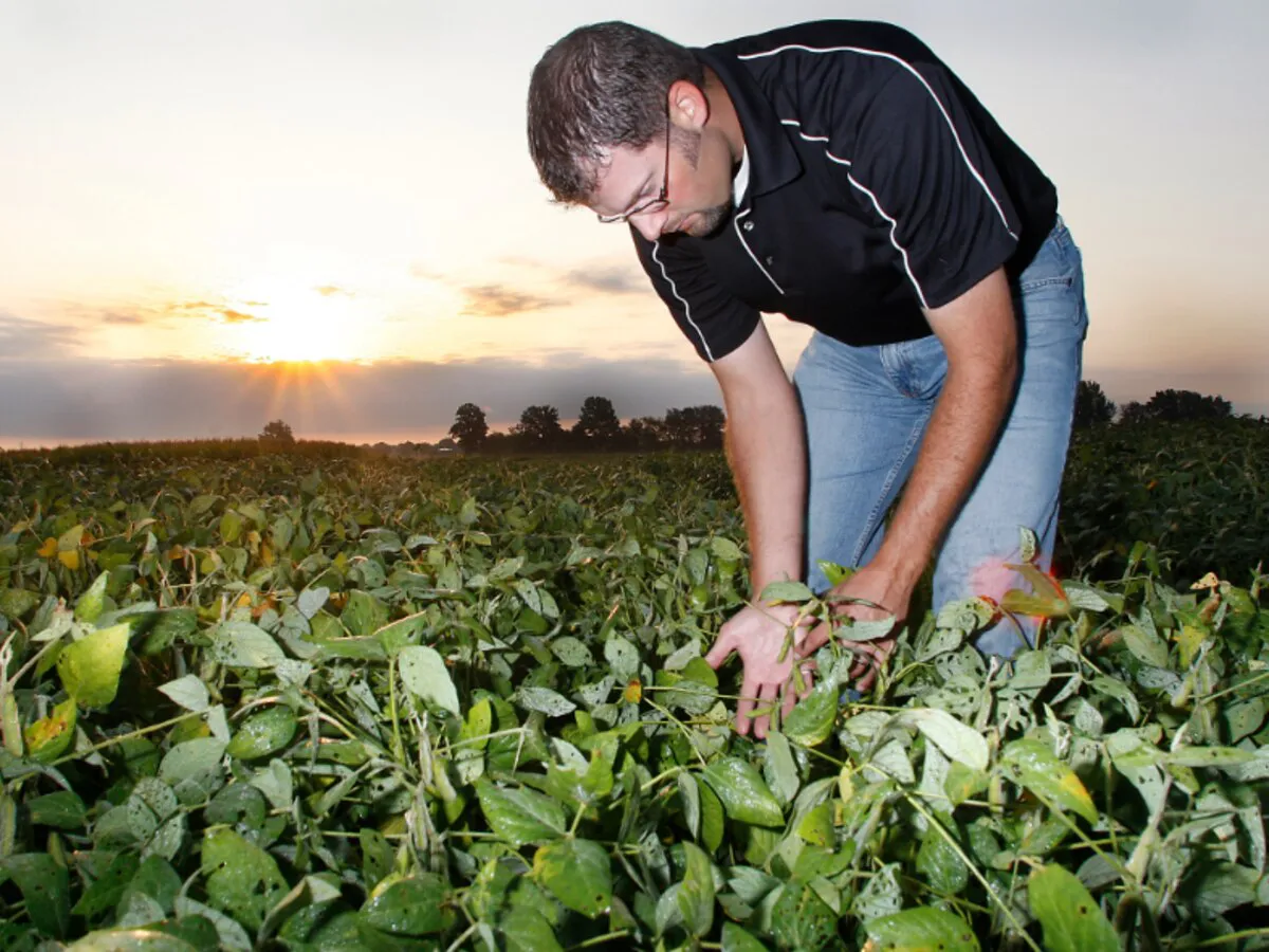 5PLTLDR2BFFZTA5YAQOTRPIGHA