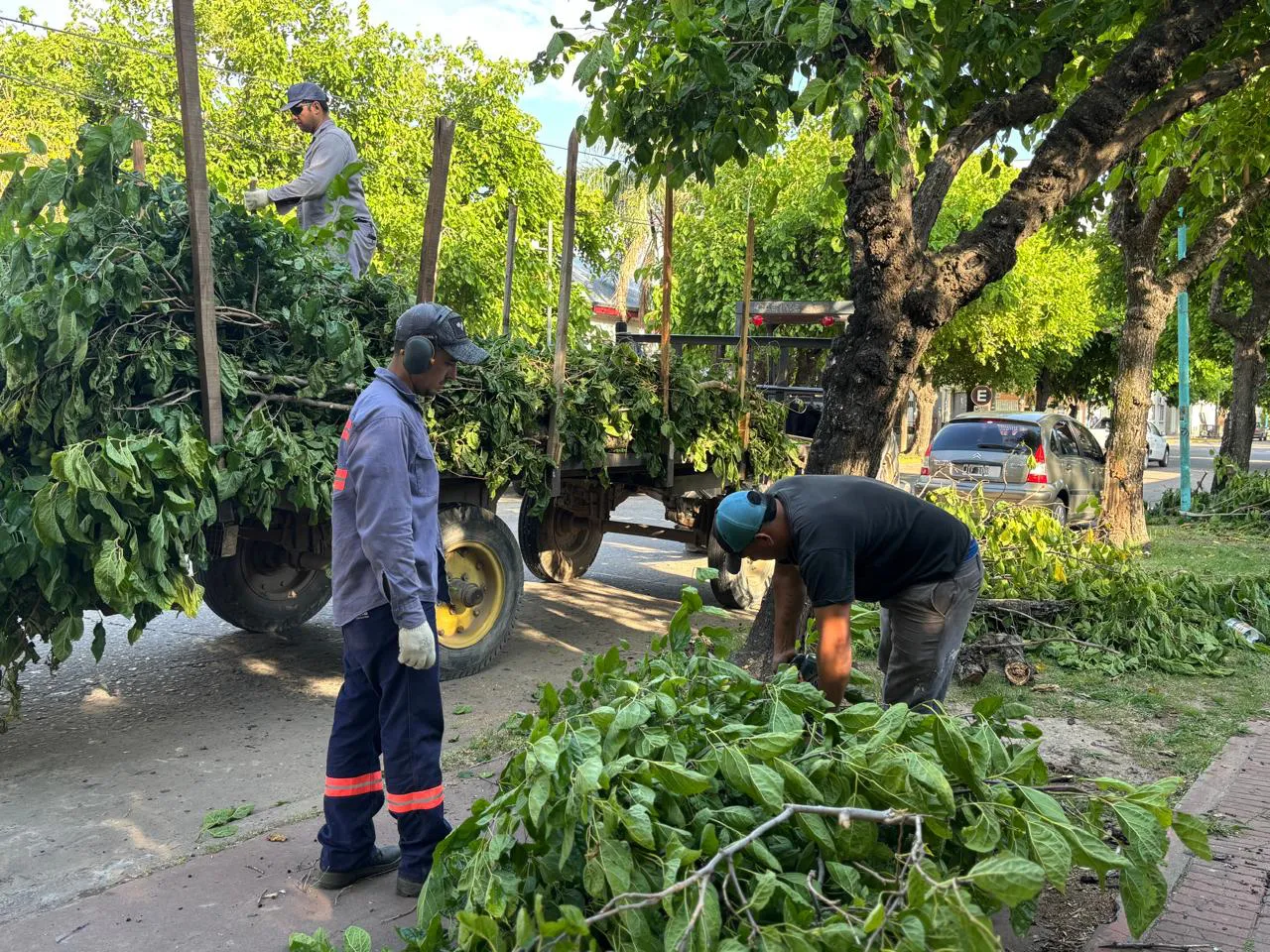 Imagen de WhatsApp 2025-11-04 a las 09.12.38_f3561962